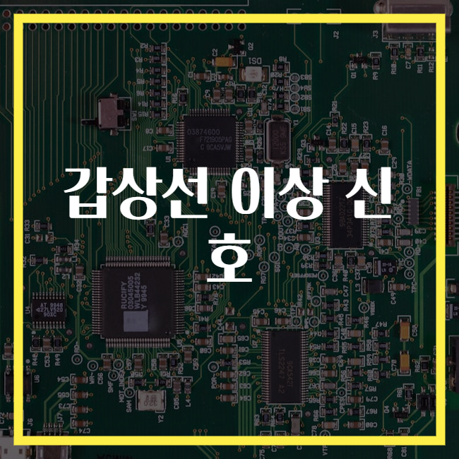 갑상선 이상 신호