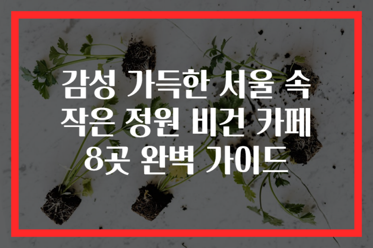 감성 가득한 서울 속 작은 정원 비건 카페 8곳 완벽 가이드