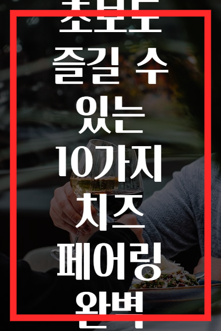 와인 초보도 즐길 수 있는 10가지 치즈 페어링 완벽 가이드