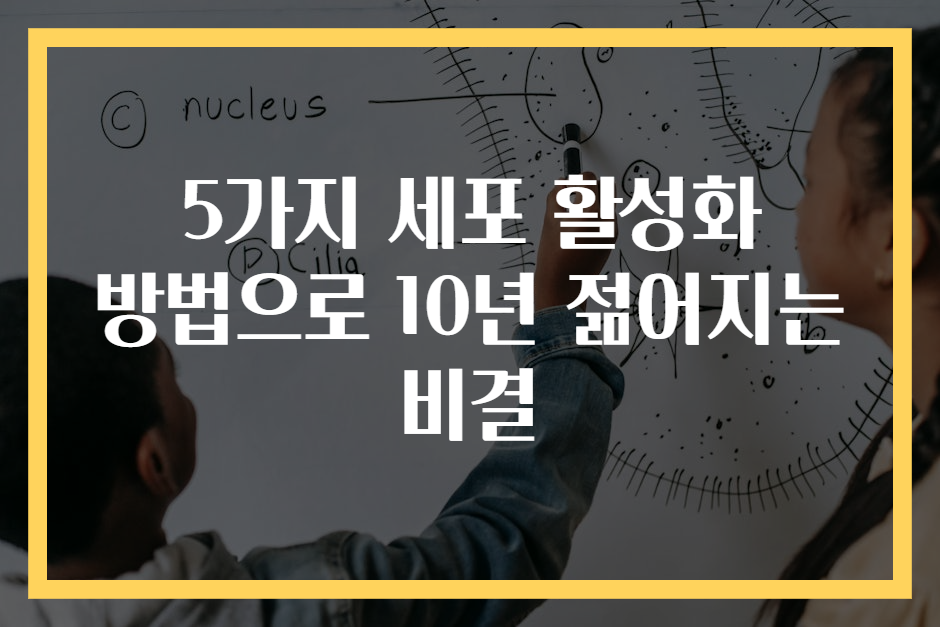 5가지 세포 활성화 방법으로 10년 젊어지는 비결