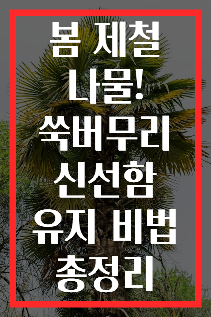 봄 제철 나물! 쑥버무리 신선함 유지 비법 총정리