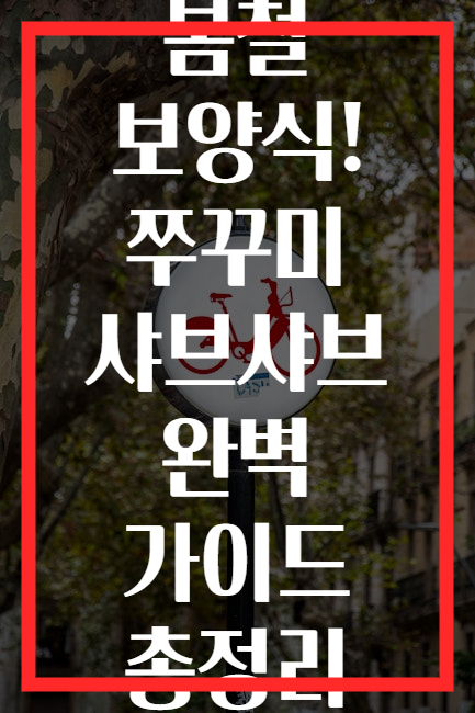 봄철 보양식! 쭈꾸미 샤브샤브 완벽 가이드 총정리