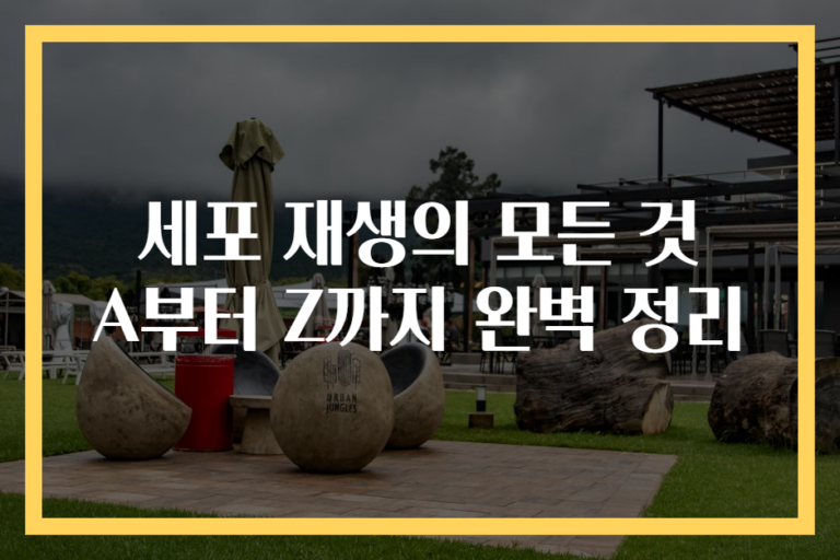 세포 재생의 모든 것 A부터 Z까지 완벽 정리