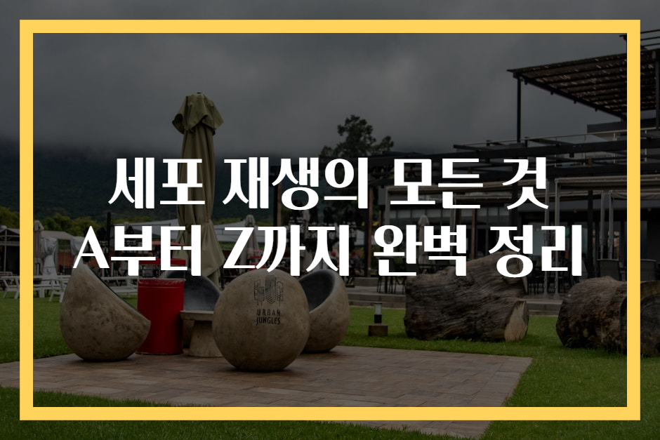 세포 재생의 모든 것 A부터 Z까지 완벽 정리