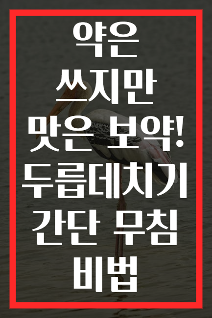 약은 쓰지만 맛은 보약! 두릅데치기 간단 무침 비법