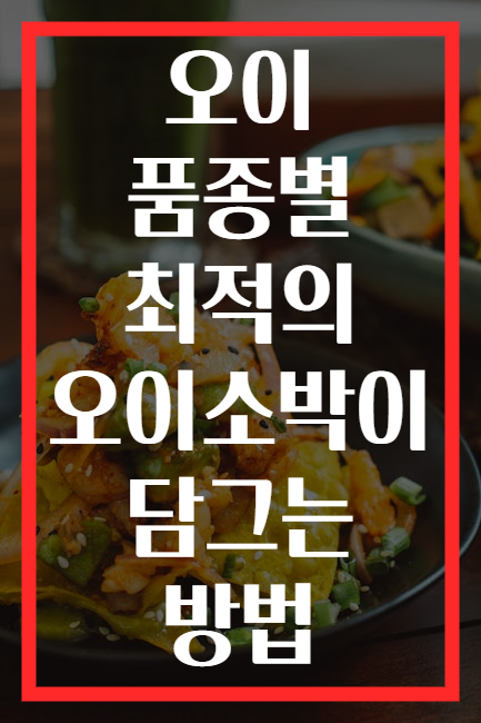 오이 품종별 최적의 오이소박이 담그는 방법