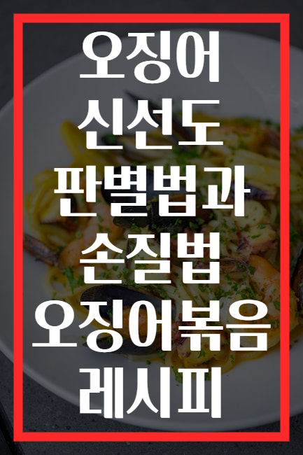 오징어 신선도 판별법과 손질법 오징어볶음 레시피
