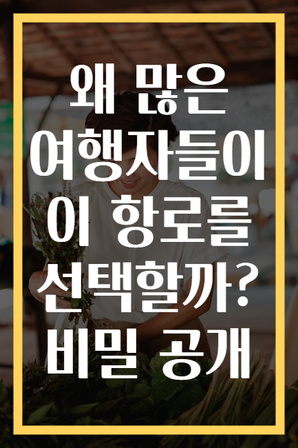 왜 많은 여행자들이 이 항로를 선택할까? 비밀 공개