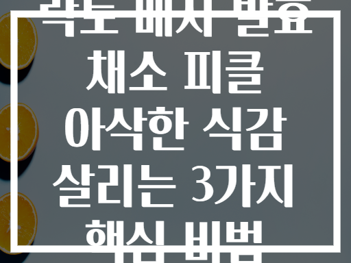 락토 베지 발효 채소 피클 아삭한 식감 살리는 3가지 핵심 비법