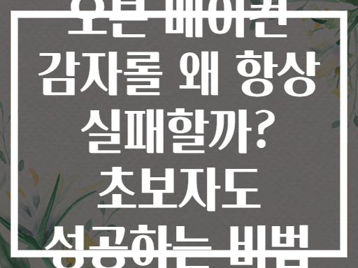 오븐 베이컨 감자롤 왜 항상 실패할까? 초보자도 성공하는 비법