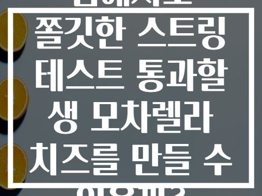 집에서도 쫄깃한 스트링 테스트 통과할 생 모차렐라 치즈를 만들 수 있을까?