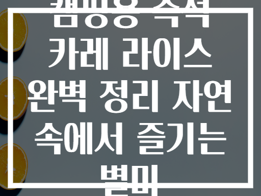 캠핑용 즉석 카레 라이스 완벽 정리 자연 속에서 즐기는 별미