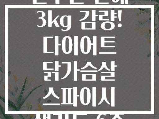 일주일 만에 3kg 감량! 다이어트 닭가슴살 스파이시 샐러드 6종